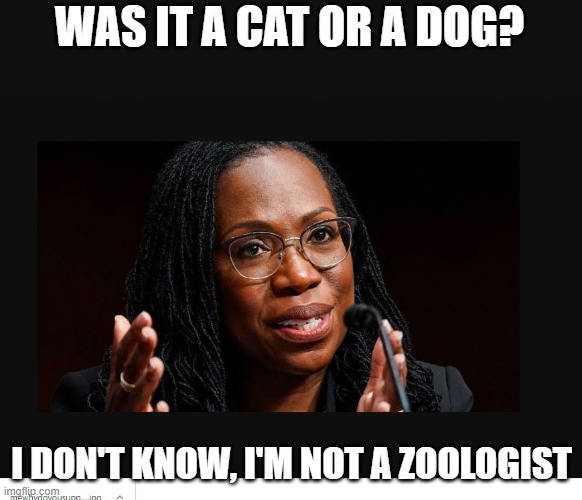 WAS IT A CAT OR A DOG? I DON'T KNOW, I'M NOT A ZOOLOGIST | made w/ Imgflip meme maker