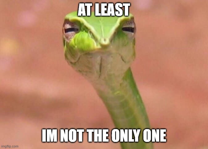 Skeptical snake | AT LEAST IM NOT THE ONLY ONE | image tagged in skeptical snake | made w/ Imgflip meme maker