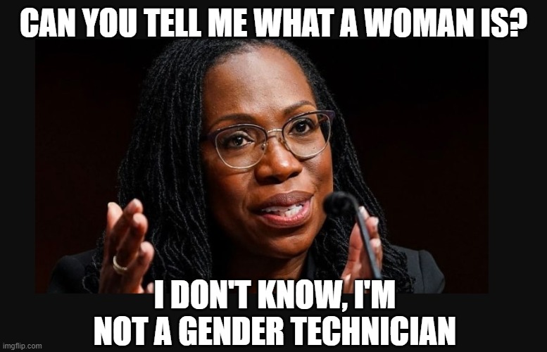 Judge Jackson | CAN YOU TELL ME WHAT A WOMAN IS? I DON'T KNOW, I'M NOT A GENDER TECHNICIAN | image tagged in judge jackson | made w/ Imgflip meme maker