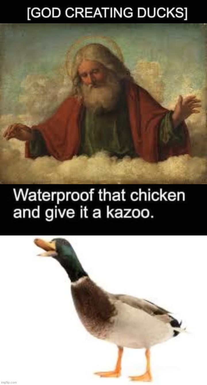 image tagged in god,ducks | made w/ Imgflip meme maker