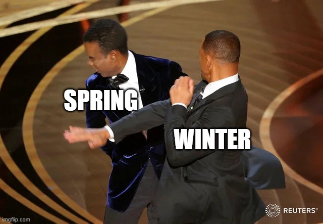 Still Winter | SPRING; WINTER | image tagged in will smith punching chris rock | made w/ Imgflip meme maker