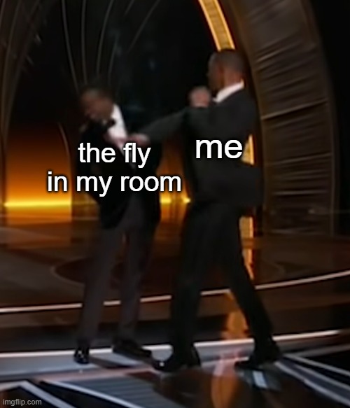 Will smacking the shiz out of chris | the fly in my room; me | image tagged in oscars,front page,funny,unfunny,memes | made w/ Imgflip meme maker