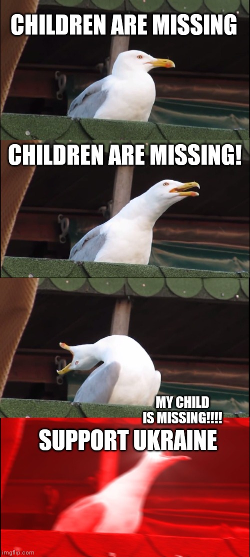 Boarder Security | CHILDREN ARE MISSING; CHILDREN ARE MISSING! MY CHILD IS MISSING!!!! SUPPORT UKRAINE | image tagged in memes,inhaling seagull,children,corn,freedom,slavery | made w/ Imgflip meme maker