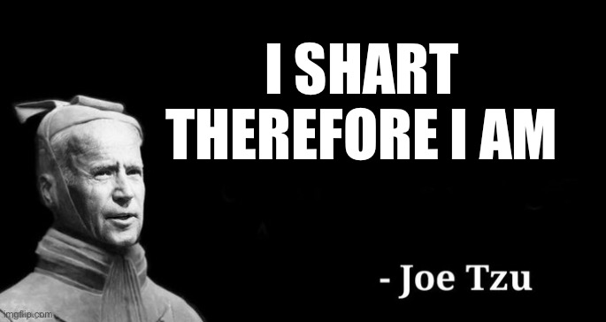 Joe tzu | I SHART
THEREFORE I AM | image tagged in joe tzu | made w/ Imgflip meme maker