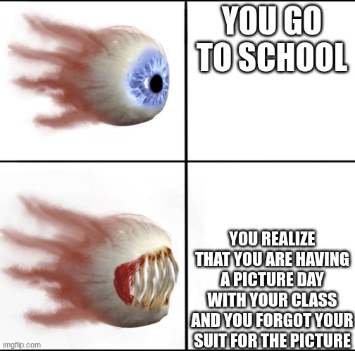 tell if this is true | YOU GO TO SCHOOL; YOU REALIZE THAT YOU ARE HAVING A PICTURE DAY WITH YOUR CLASS AND YOU FORGOT YOUR SUIT FOR THE PICTURE | image tagged in terraria eye | made w/ Imgflip meme maker