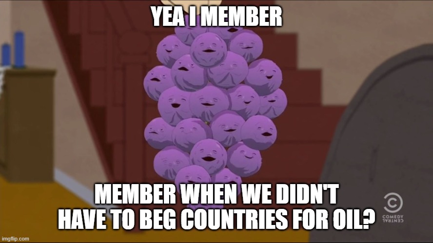 Member Berries Meme | YEA I MEMBER MEMBER WHEN WE DIDN'T HAVE TO BEG COUNTRIES FOR OIL? | image tagged in memes,member berries | made w/ Imgflip meme maker