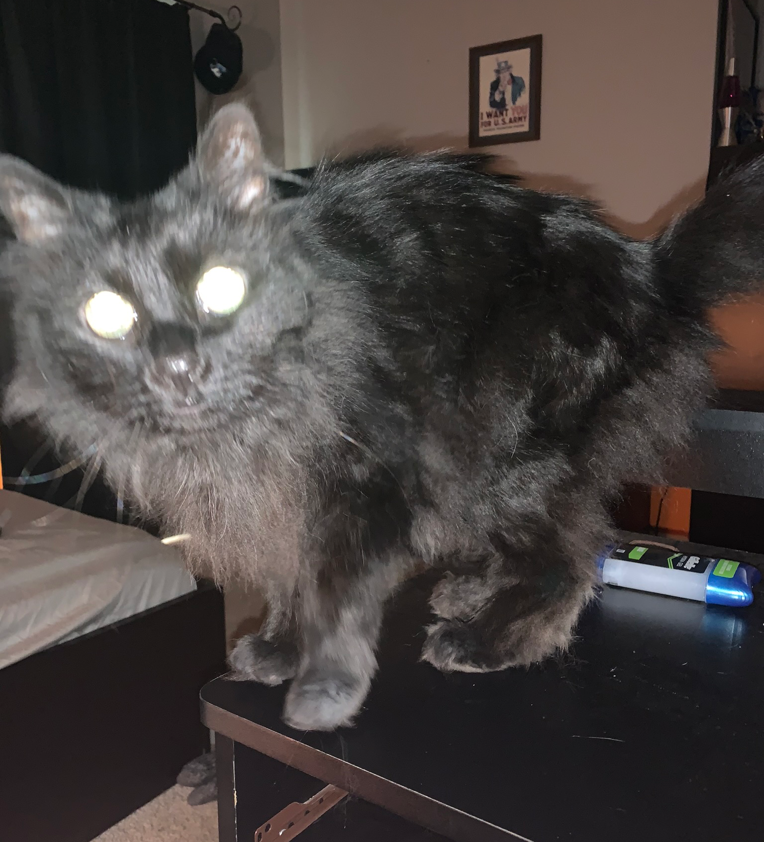High Quality Cat caught 3am Blank Meme Template