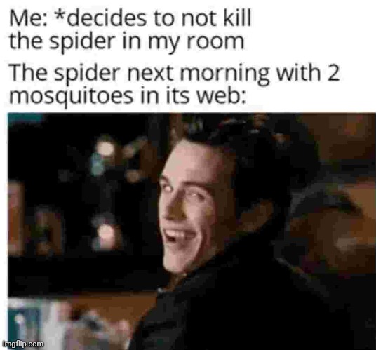 Thank you Spider! | image tagged in spider,room | made w/ Imgflip meme maker