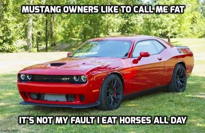 dodge challenger vores a ford mustang | made w/ Imgflip meme maker