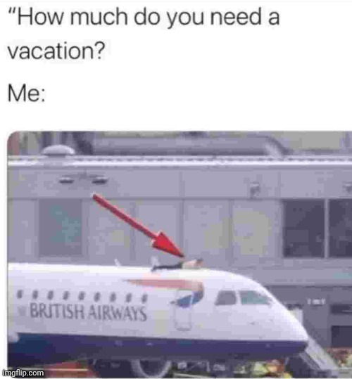 image tagged in vacation,airplane | made w/ Imgflip meme maker