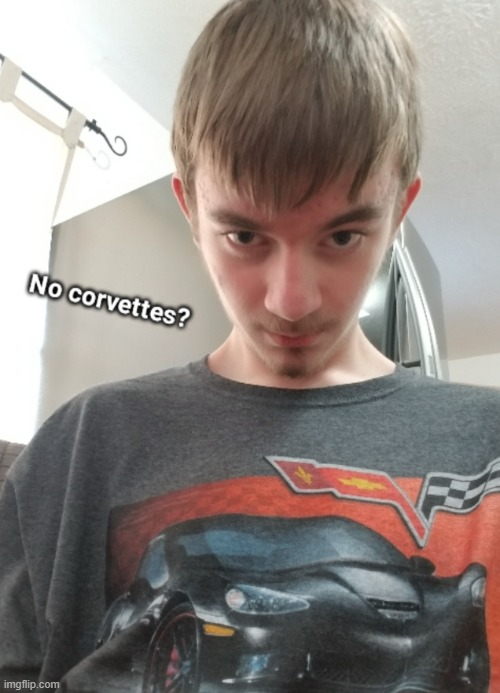 No corvettes | image tagged in no corvettes | made w/ Imgflip meme maker