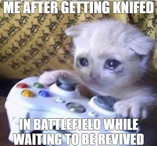 softie gamer | ME AFTER GETTING KNIFED; IN BATTLEFIELD WHILE WAITING TO BE REVIVED | image tagged in sad gaming cat | made w/ Imgflip meme maker
