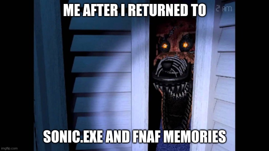 Foxy FNaF 4 |  ME AFTER I RETURNED TO; SONIC.EXE AND FNAF MEMORIES | image tagged in foxy fnaf 4 | made w/ Imgflip meme maker