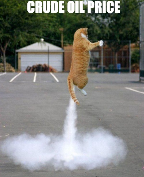 Houston we have lift off | CRUDE OIL PRICE | image tagged in rocket cat,cat | made w/ Imgflip meme maker
