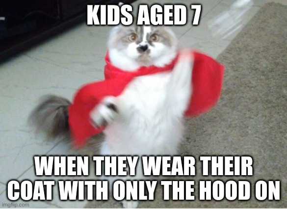 To the rescue  | KIDS AGED 7; WHEN THEY WEAR THEIR COAT WITH ONLY THE HOOD ON | image tagged in to the rescue | made w/ Imgflip meme maker