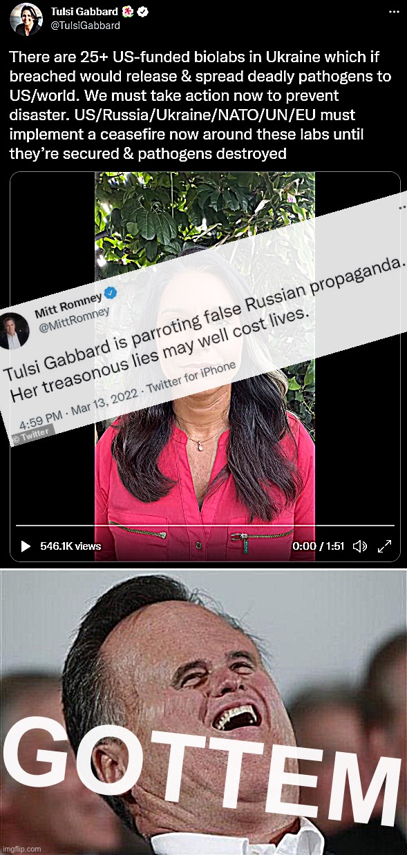 Mitt Romney’s clean hit on Tulsi Gabbard’s “biolab” crap [Russian decoy for potential use of its own chemical weapons] | GOTTEM | image tagged in tulsi gabbard traffics in biolab theory,memes,small face romney | made w/ Imgflip meme maker