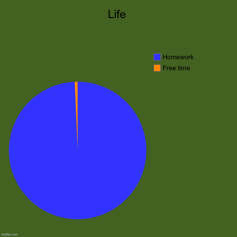 Life | Free time, Homework | image tagged in charts,pie charts | made w/ Imgflip chart maker