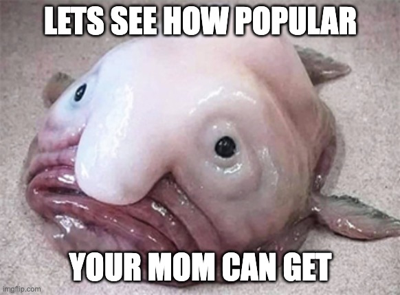 We will see | LETS SEE HOW POPULAR; YOUR MOM CAN GET | image tagged in memes | made w/ Imgflip meme maker