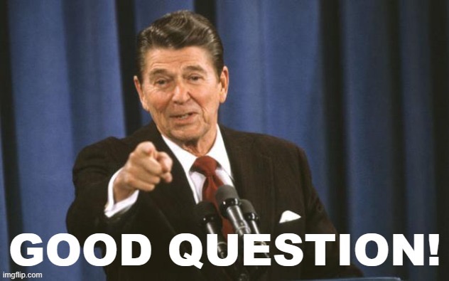 Ronald Reagan Good Question | image tagged in ronald reagan good question | made w/ Imgflip meme maker