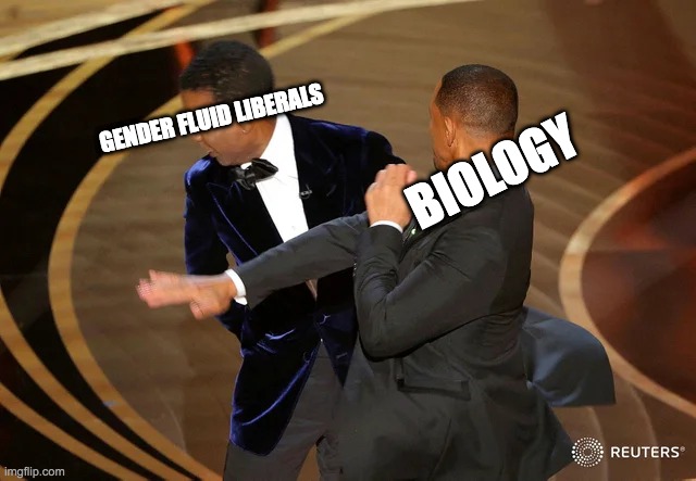 gender fluid liberals vs biology | BIOLOGY; GENDER FLUID LIBERALS | image tagged in will smith punching chris rock | made w/ Imgflip meme maker