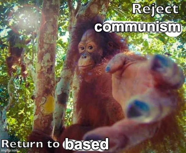 Return to monke | based communism | image tagged in return to monke | made w/ Imgflip meme maker