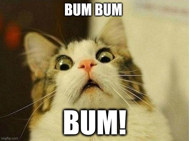 BUM BUM BUM! | image tagged in memes,scared cat | made w/ Imgflip meme maker