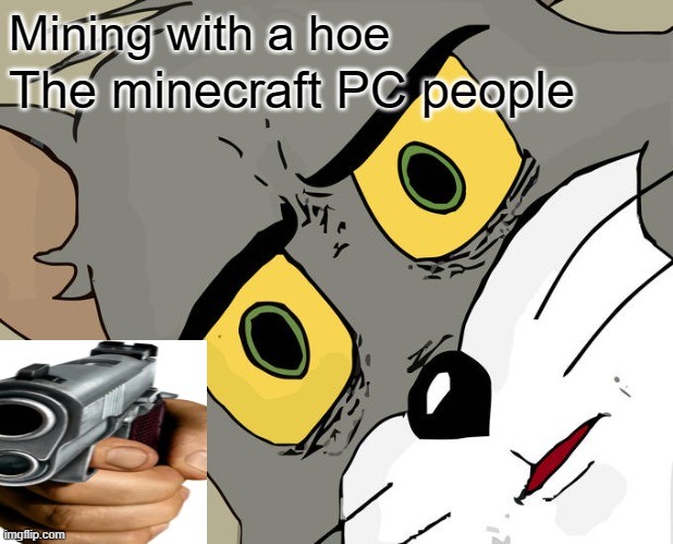 why are you mining with a hoe | Mining with a hoe; The minecraft PC people | image tagged in memes,unsettled tom | made w/ Imgflip meme maker