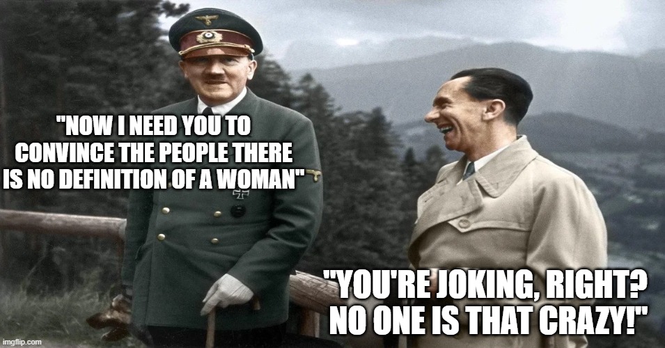 Even the best couldn't believe it | "NOW I NEED YOU TO CONVINCE THE PEOPLE THERE IS NO DEFINITION OF A WOMAN"; "YOU'RE JOKING, RIGHT?  NO ONE IS THAT CRAZY!" | image tagged in hitler and goebbels | made w/ Imgflip meme maker