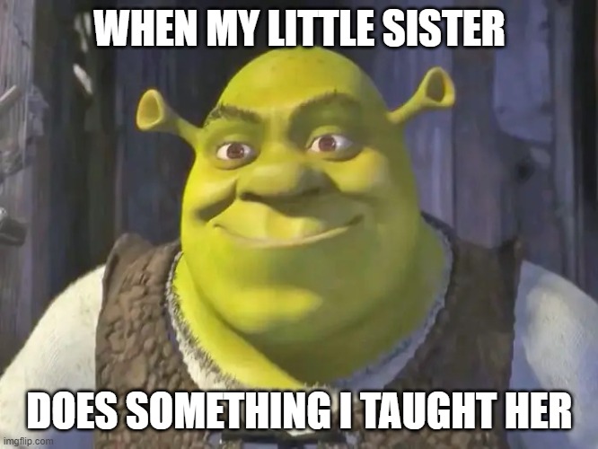 first of this meme :) | WHEN MY LITTLE SISTER; DOES SOMETHING I TAUGHT HER | image tagged in shrek | made w/ Imgflip meme maker