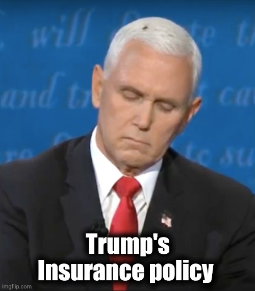 Pence Debate Fly | Trump's Insurance policy | image tagged in pence debate fly | made w/ Imgflip meme maker