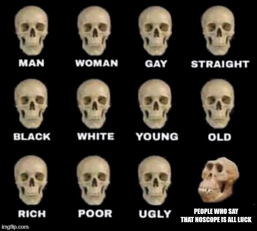 idiot skull | PEOPLE WHO SAY THAT NOSCOPE IS ALL LUCK | image tagged in idiot skull | made w/ Imgflip meme maker