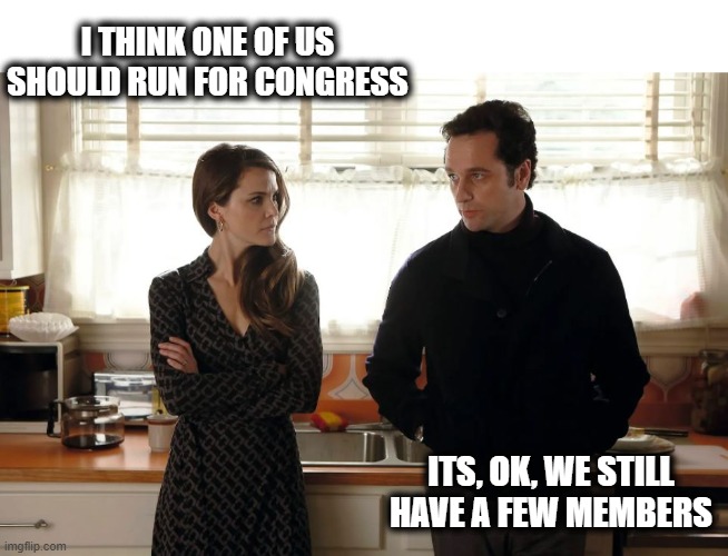 I THINK ONE OF US SHOULD RUN FOR CONGRESS ITS, OK, WE STILL HAVE A FEW MEMBERS | made w/ Imgflip meme maker