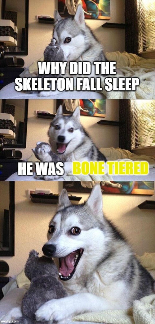 Bad Pun Dog Meme | WHY DID THE SKELETON FALL SLEEP; BONE TIERED; HE WAS | image tagged in memes,bad pun dog | made w/ Imgflip meme maker