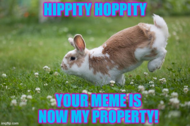 Your Meme is Mine | HIPPITY HOPPITY; YOUR MEME IS NOW MY PROPERTY! | image tagged in bunny,meme,mine now,rabbit,stolen meme | made w/ Imgflip meme maker