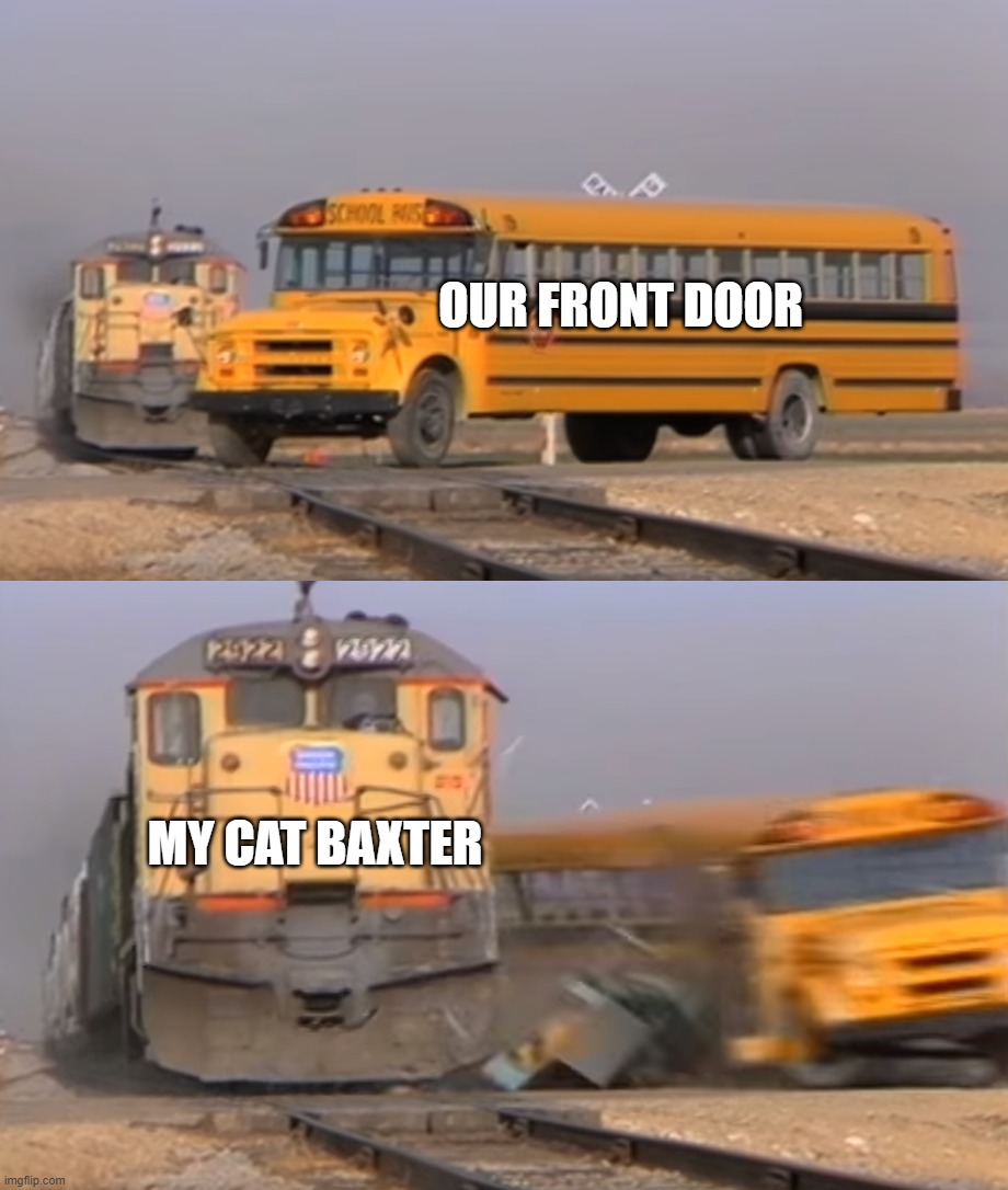 He tore a massive hole in the front door | OUR FRONT DOOR; MY CAT BAXTER | image tagged in a train hitting a school bus | made w/ Imgflip meme maker