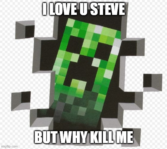 wad | I LOVE U STEVE; BUT WHY KILL ME | image tagged in minecraft creeper | made w/ Imgflip meme maker