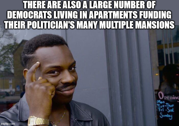 Roll Safe Think About It Meme | THERE ARE ALSO A LARGE NUMBER OF DEMOCRATS LIVING IN APARTMENTS FUNDING THEIR POLITICIAN'S MANY MULTIPLE MANSIONS | image tagged in memes,roll safe think about it | made w/ Imgflip meme maker