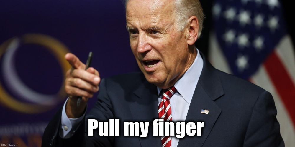 Joe Biden pointing | Pull my finger | image tagged in joe biden pointing | made w/ Imgflip meme maker