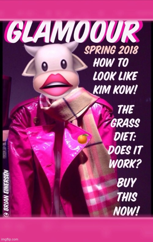 image tagged in fashion,glamoour,kim kowdashian,social kommentary,social commentary,brian einersen | made w/ Imgflip meme maker