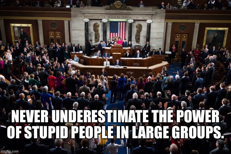 Stupid people | image tagged in power,stupid people,large,groups,politicans,government | made w/ Imgflip meme maker