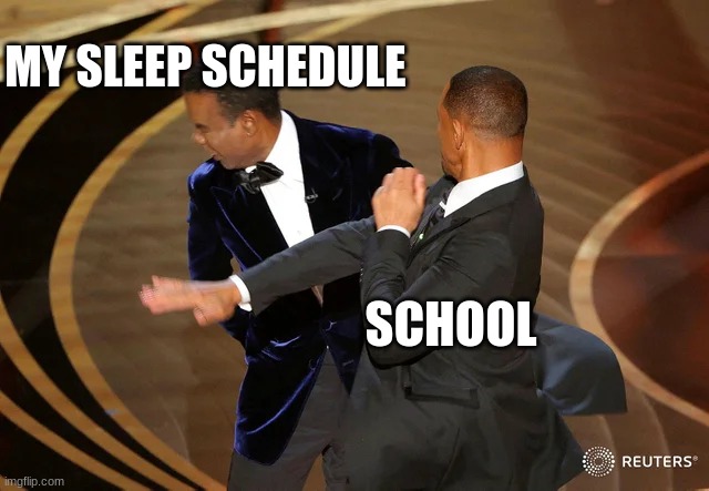 Will Smith punching Chris Rock | MY SLEEP SCHEDULE; SCHOOL | image tagged in will smith punching chris rock | made w/ Imgflip meme maker