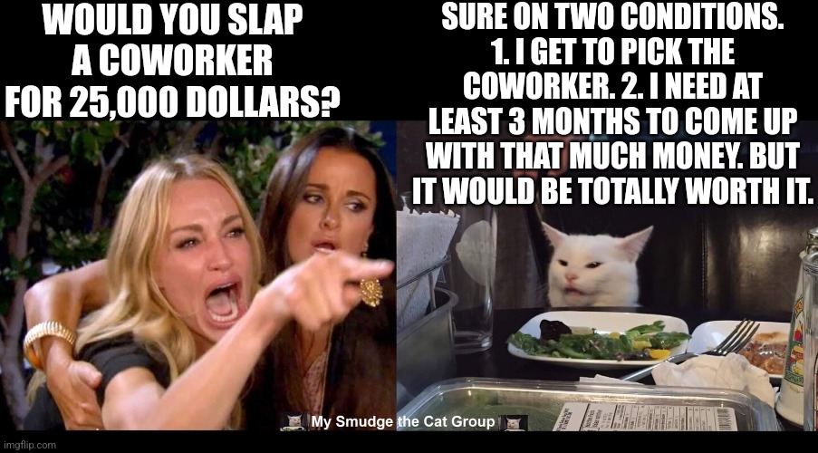 WOULD YOU SLAP A COWORKER FOR 25,000 DOLLARS? SURE ON TWO CONDITIONS. 1. I GET TO PICK THE COWORKER. 2. I NEED AT LEAST 3 MONTHS TO COME UP WITH THAT MUCH MONEY. BUT IT WOULD BE TOTALLY WORTH IT. | image tagged in smudge the cat,woman yelling at cat | made w/ Imgflip meme maker