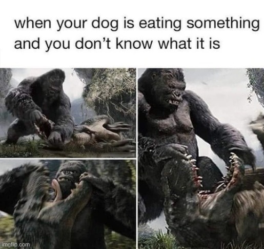 Hey don't eat that! | image tagged in hey don't eat that | made w/ Imgflip meme maker