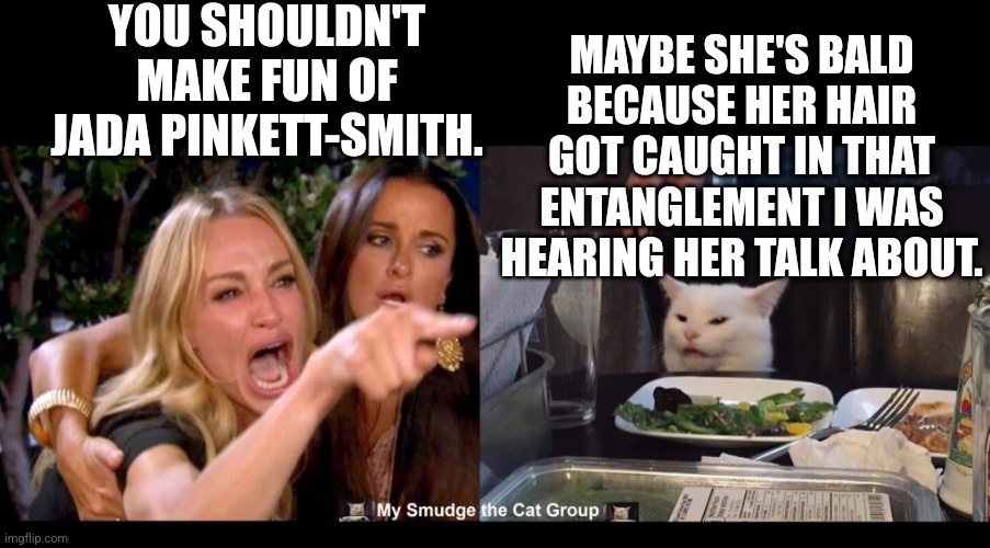 YOU SHOULDN'T MAKE FUN OF JADA PINKETT-SMITH. MAYBE SHE'S BALD BECAUSE HER HAIR GOT CAUGHT IN THAT ENTANGLEMENT I WAS HEARING HER TALK ABOUT. | image tagged in smudge the cat,woman yelling at cat | made w/ Imgflip meme maker