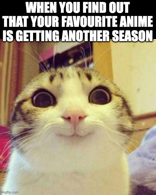 Hi | WHEN YOU FIND OUT THAT YOUR FAVOURITE ANIME IS GETTING ANOTHER SEASON | image tagged in memes,smiling cat | made w/ Imgflip meme maker