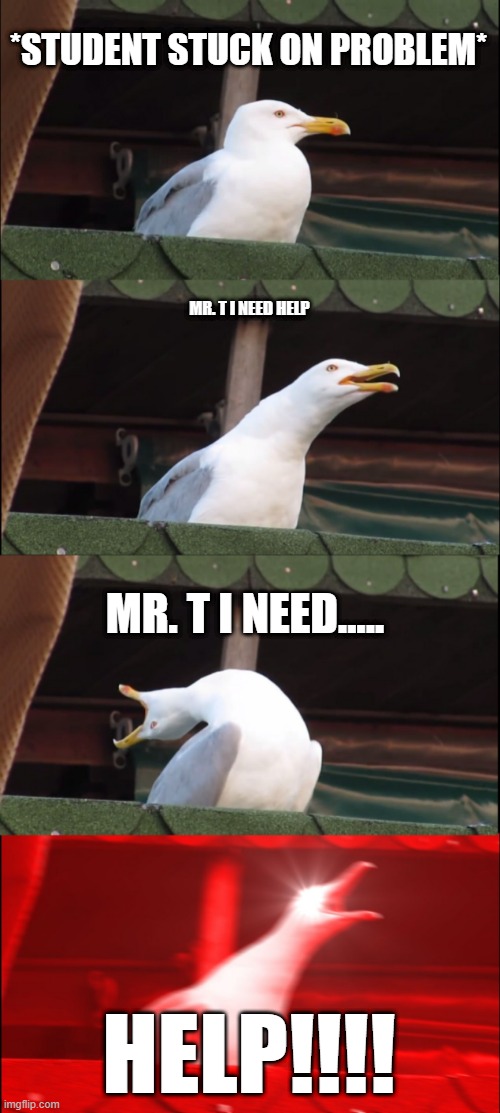 Inhaling Seagull | *STUDENT STUCK ON PROBLEM*; MR. T I NEED HELP; MR. T I NEED..... HELP!!!! | image tagged in memes,inhaling seagull | made w/ Imgflip meme maker