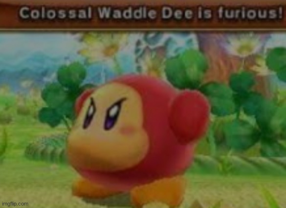 colossal waddle dee is furious | image tagged in colossal waddle dee is furious | made w/ Imgflip meme maker