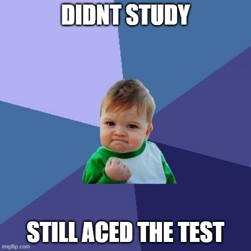 Success Kid | DIDNT STUDY; STILL ACED THE TEST | image tagged in memes,success kid | made w/ Imgflip meme maker