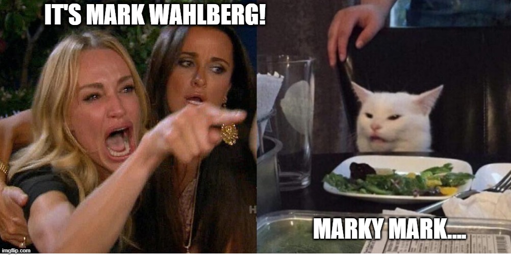 Salad Cat Marky Mark | IT'S MARK WAHLBERG! MARKY MARK.... | image tagged in salad cat | made w/ Imgflip meme maker