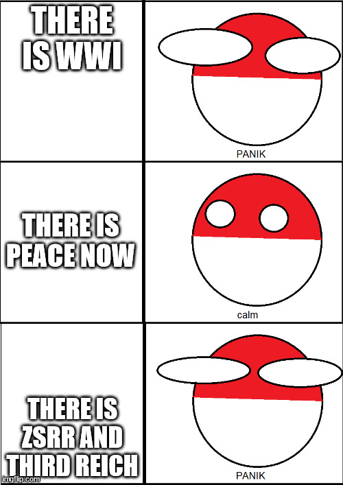 POLANDBALL PANIK | THERE IS WWI; THERE IS PEACE NOW; THERE IS ZSRR AND THIRD REICH | image tagged in polandball panik | made w/ Imgflip meme maker